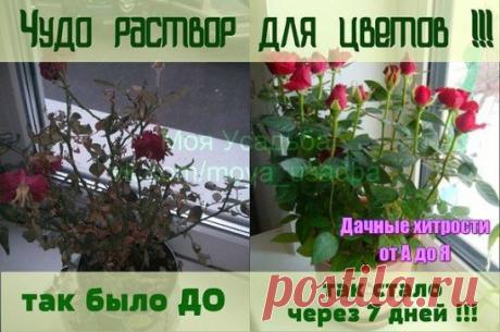 Одноклассники