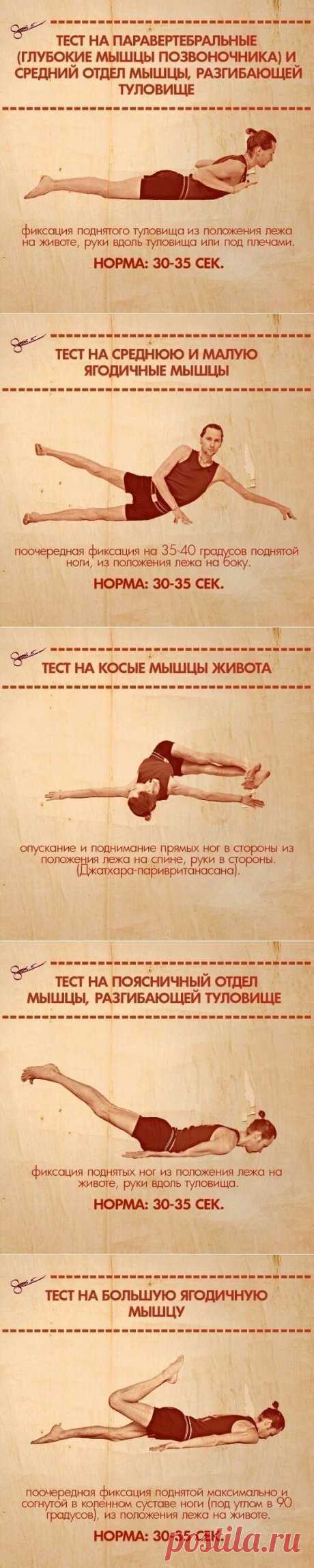 Проверяем мышцы на выносливость