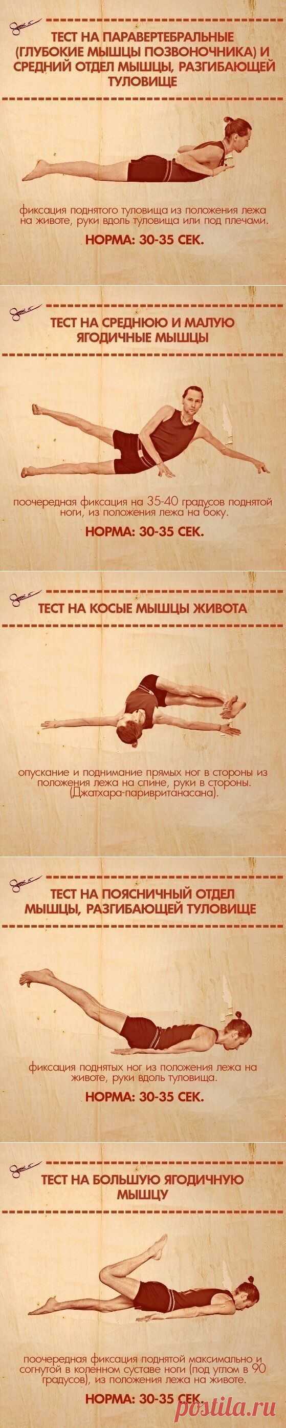 Проверяем мышцы на выносливость