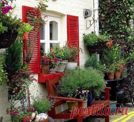 (6) Garden and decor