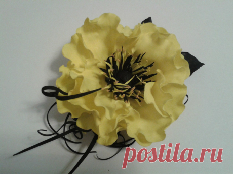 Фотографии Любы Назаровой – 8 альбомов