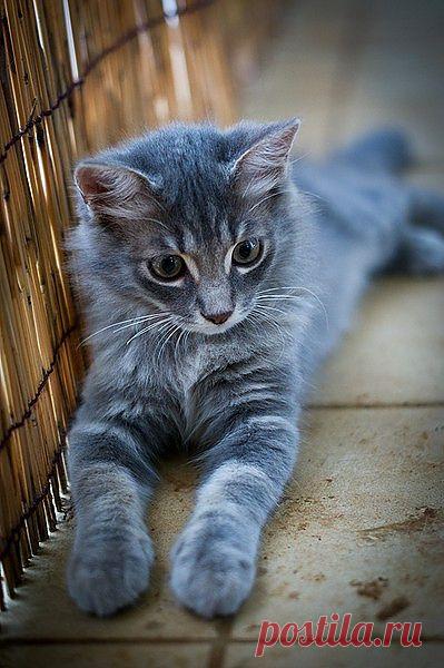 C'est pas choubidou ça ? | Flickr - Photo Sharing!