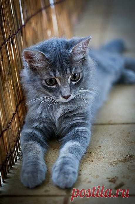C'est pas choubidou ça ? | Flickr - Photo Sharing!