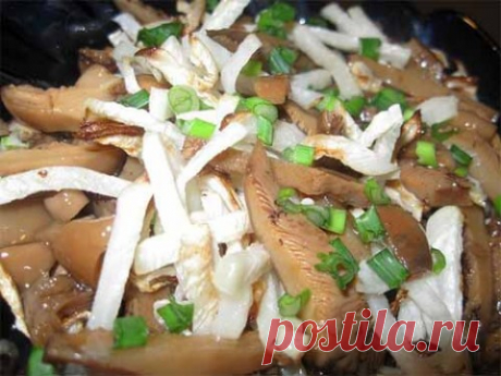 Салат из редьки и грибов