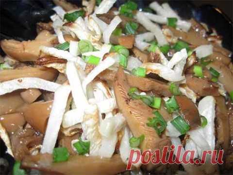 Салат из редьки и грибов