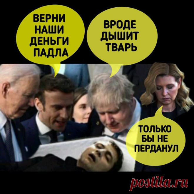 МОВА! ЯЗЫК! И СУРЖИК! | Сила В Правде | Дзен