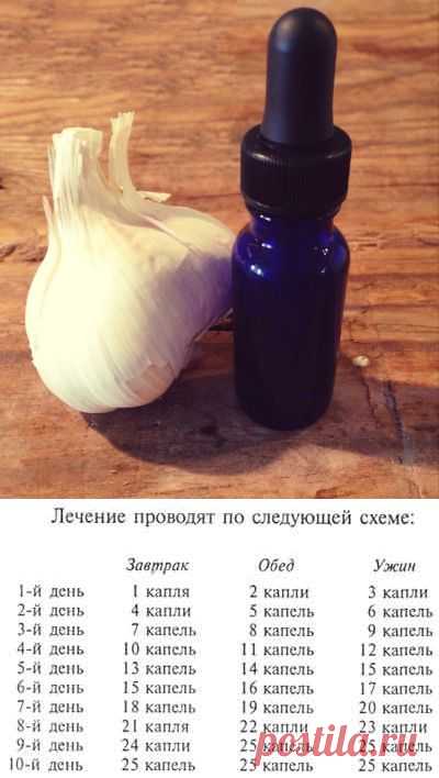 Рецепт приготовления чесночной настойки и схема ее применения | МастерВеда