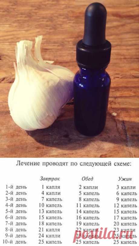 Рецепт приготовления чесночной настойки и схема ее применения | МастерВеда