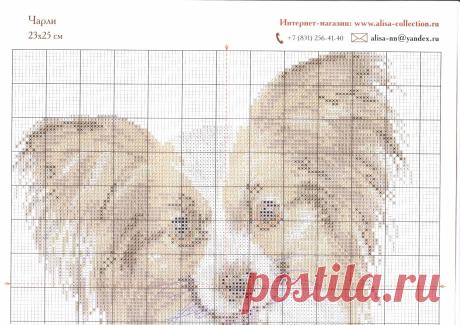 Ifotki.info - бесплатный хостинг фотографий для форумов, дневников, гостевых книг