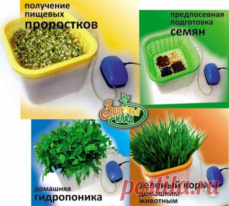 Гидропонный проращиватель «Здоровья КЛАД» - Интернет-Магазин Настоящей Еды - Калининград