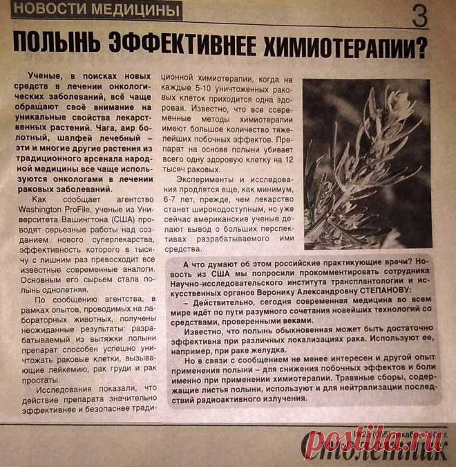Полынь эффективнее химиотерапии?