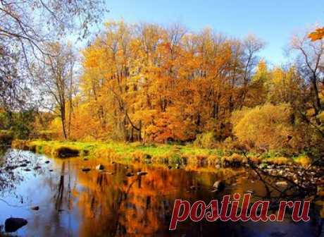 337 карточек в коллекции «Фото недели с 28 сентября по 4 октября» пользователя ЯндексКоллекции в Яндекс.Коллекциях