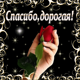 Калькулятор вашего дня рождения.