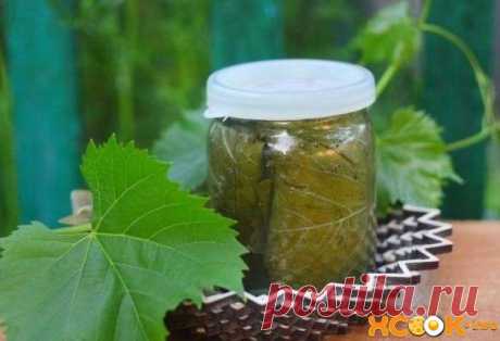 Маринованные виноградные листья – рецепт с фото, как мариновать для долмы