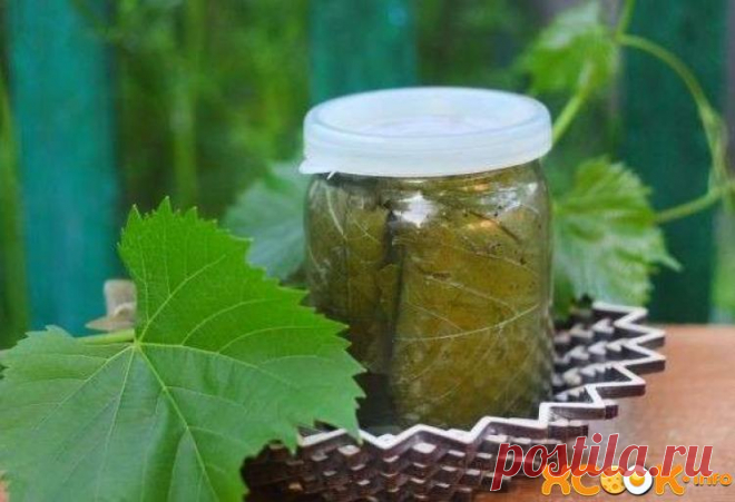 Маринованные виноградные листья – рецепт с фото, как мариновать для долмы