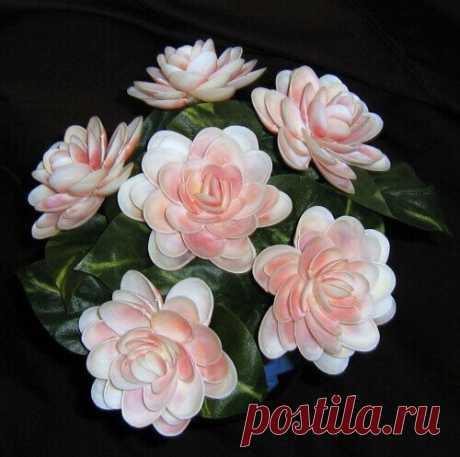 Цветы из ракушек