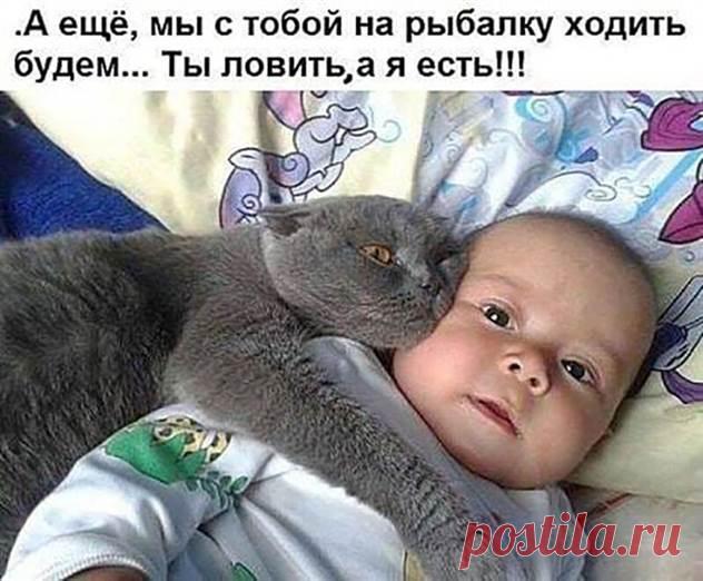 Прикольные и смешные картинки за 26 июля 2019                      ( 40 фото ) | Краше Всех