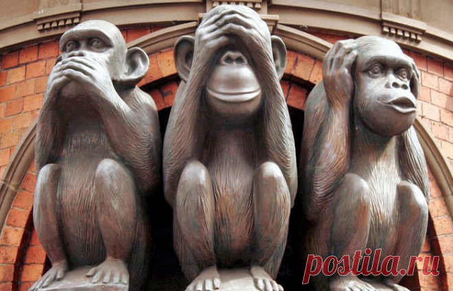 Психолог Ольга Валяева. Чем умная женщина отличается от мудрой?