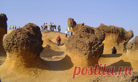 Инопланетные ландшафты Земли За миллиарды лет природа научилась создавать самые разные ландшафты. Большинство из них привычны, а некоторые походят на инопланетный мир, словно здесь