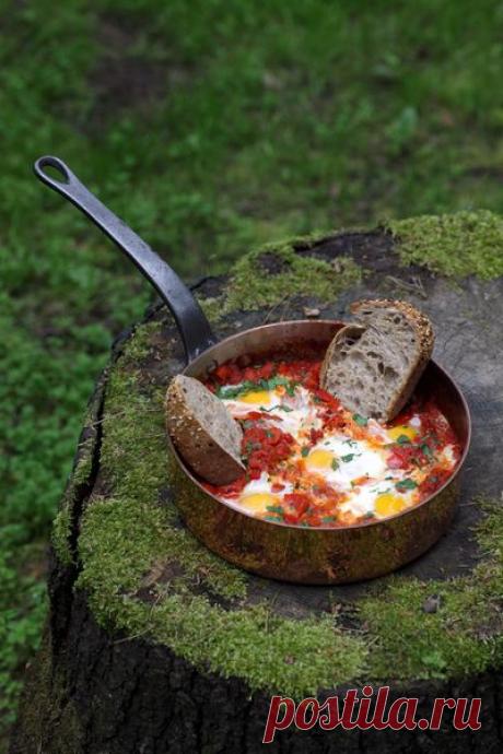 Рецепты от Елены Чекаловой - Шакшука, Счастье Есть, готовим с Еленой Чекаловой, Кулинарные рецепты передачи Доброе Утро на Первом Канале.