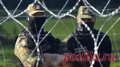 В Польше за перевоз нелегалов в Западную Европу задержали украинца