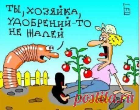 Посмеемся? - Садоводка