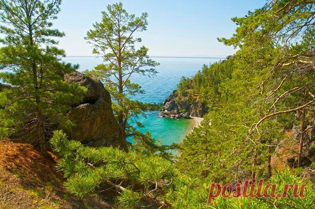 Иркутяне
liliya kovalchuk