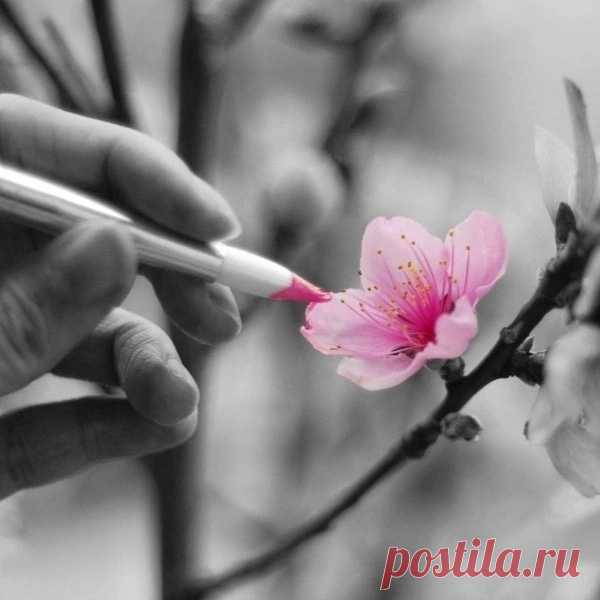 .... научись любить именно то, что ты полюбила, а не то, что ты себе придумала.....