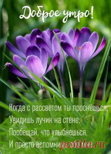 Открытка с добрым весенним утром может стать прекрасным способом подарить близкому человеку частичку весеннего настроения и позитива с самого утра.