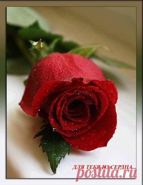 Мой Мир@Mail.Ru