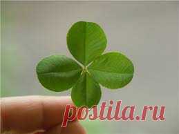 Заговор на удачу
Читать его надо только в благожелательном настроении. Лучше всего с утра, на зорьке, предварительно 