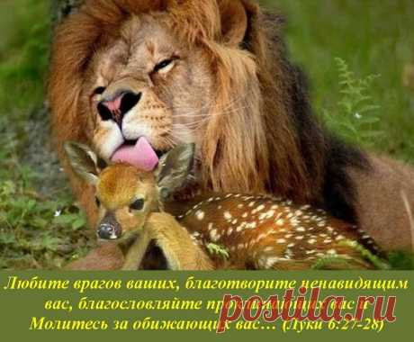Жемчужины слова Божьего#