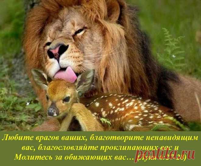 Жемчужины слова Божьего#