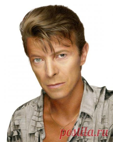 Реалистичные карандашные портреты знаменитостей и животных