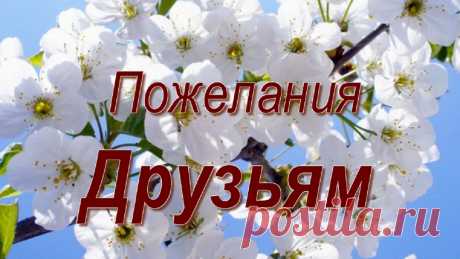 Красивые весенние пожелания для друзей. Весна в цвету! Весеннее приветствие. Желаю Вам счастья и весенней радости сполна!