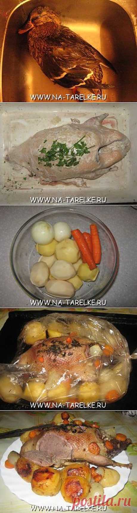 Дикая утка запеченная с картошкой. Рецепт приготовления с пошаговыми фотографиями