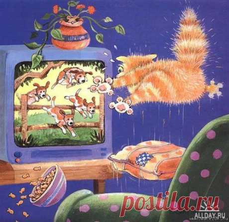 Забавные коты Gary Patterson