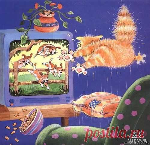 Забавные коты Gary Patterson