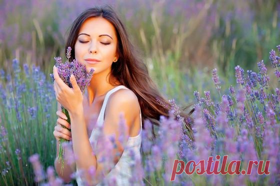 10 советов, которые за месяц сделают из Вас стройную красотку Совет № 1
Каждое утро, натощак, съедайте 1 столовую ложку льняного семени. Тщательно разжевывая и запивая стаканом теплой воды. Через полчаса можно есть.

Что это даст?

Это средство замечательно очищает организм. Благодаря этому кожа станет более ровной и свежей. Будет наблюдаться небольшое, н