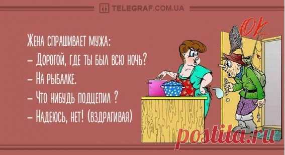 Остренький, неожиданный юмор, который понравится всем - Смехотерапия - медиаплатформа МирТесен