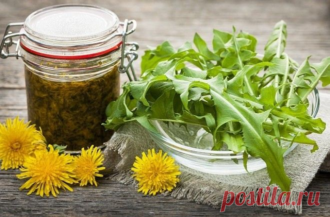 Масло из одуванчика Самое мощное масло быстро устраняющее боли


Это масло обладает сильным расслабляющим и обезболивающим эффектом. Вы можете его легко приготовить в домашних условиях!
Одуванчик — одна из самых целебных…