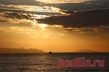 (49) Одноклассники