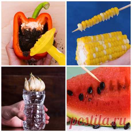 These replanting hacks will make you grow crazy!