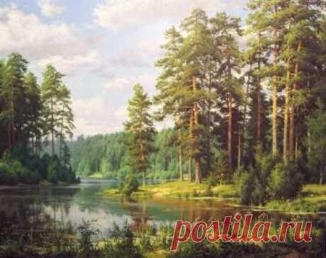 "Мой край родимый, любовь моя!" Пейзажная живопись Сергея Басова "Пейзаж с озером"
Неоспорим огромный вклад русского классического пейзажа XIX-XX вв., внесенный в русскую и мировую культуру. При всем многообразии современных живописных исканий в искусстве, наличии ...
