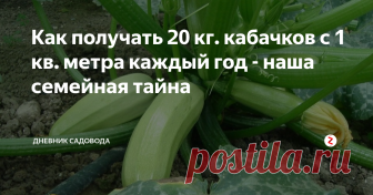 Как получать 20 кг. кабачков с 1 кв. метра каждый год - наша семейная тайна Работа в огороде или саду тяжелая, а со стороны кажется чуть ли не бездельем, весной помахал лопаточкой и гребёшь урожай. А ведь это не так, бывает, семь потов сойдёт, пока получишь хоть какой-то урожай.
Большой секрет…
Есть небольшая хитрость, и я решил ею поделиться с вами. Представляете, с одного куста можно получить очень много кабачков, это реально возможно благодаря определенным действиям.
И