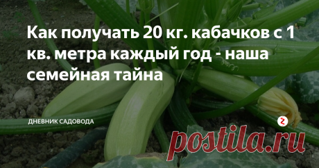 Как получать 20 кг. кабачков с 1 кв. метра каждый год - наша семейная тайна Работа в огороде или саду тяжелая, а со стороны кажется чуть ли не бездельем, весной помахал лопаточкой и гребёшь урожай. А ведь это не так, бывает, семь потов сойдёт, пока получишь хоть какой-то урожай.
Большой секрет…
Есть небольшая хитрость, и я решил ею поделиться с вами. Представляете, с одного куста можно получить очень много кабачков, это реально возможно благодаря определенным действиям.
И