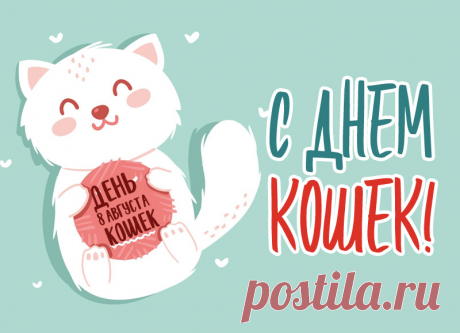 День кошек