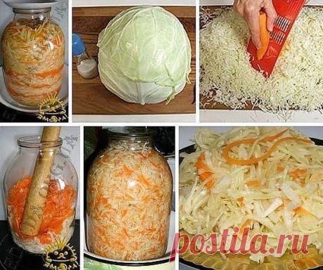 Моментальная квашеная капуста в банке - просто бесподобный рецепт! - Что хочет женщина