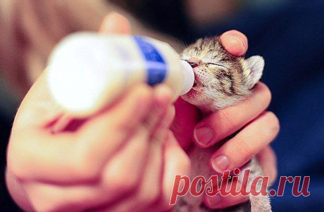 Мой Мир@Mail.Ru