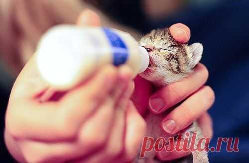 Мой Мир@Mail.Ru